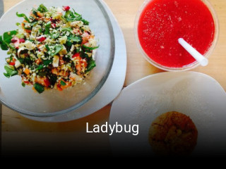 Ladybug encomendar on-line