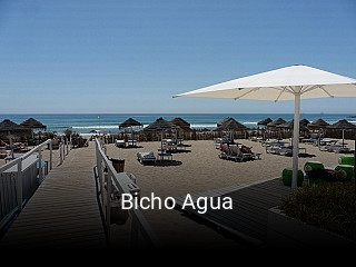 Bicho Agua encomendar on-line